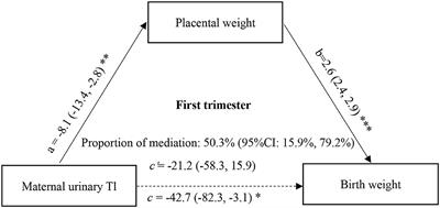 The Mediating Role of Placental Weight Change in the Association Between Prenatal Exposure to Thallium and Birth Weight: A Prospective Birth Cohort Study